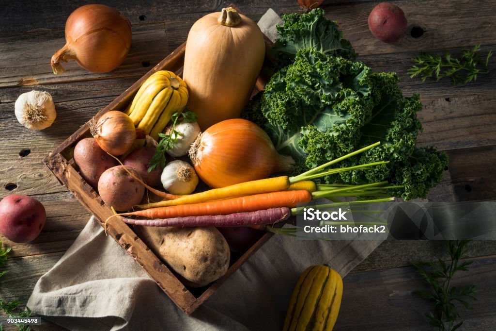 Organic Vegetables Gallery