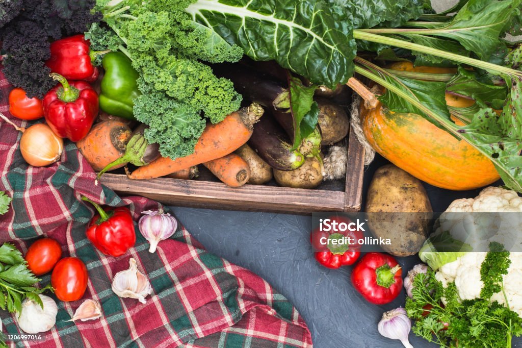 Seasonal Fruits Gallery